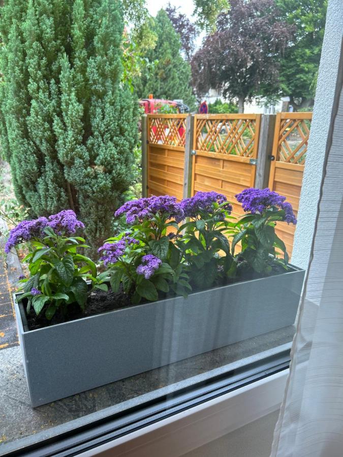 Fewo By Hd Mit Parkplatz, Wallbox, Wintergarten Bad Salzuflen Exterior photo